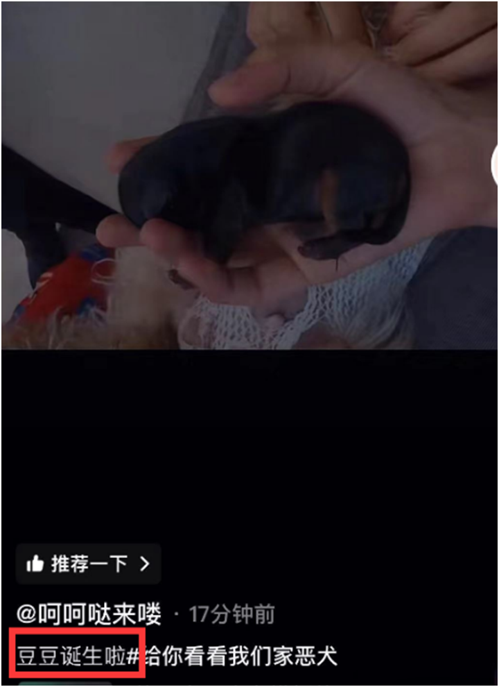 刘一手没给女孩买过包,只给董莹莹买包,文儿欢迎豆豆加入大家庭(图5)