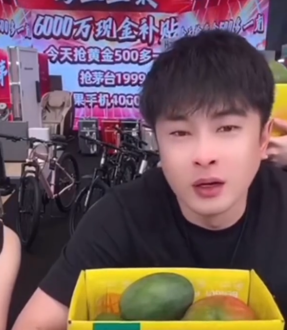 辛巴哇哇哭，这是最后几场直播！被倪海杉起诉：二子爷败诉赔钱(图3)