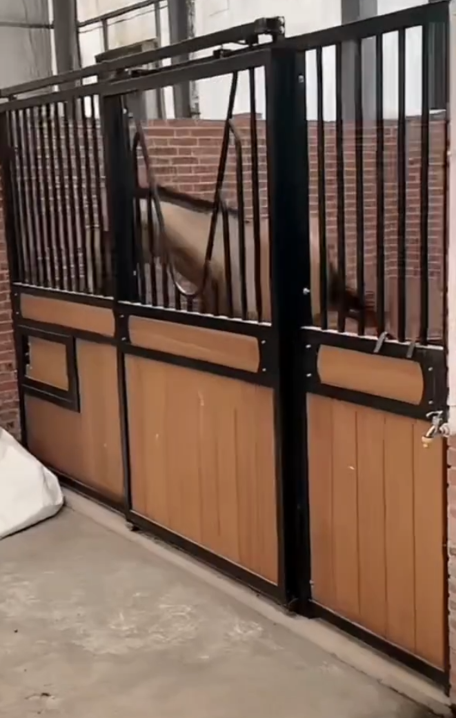 女方已怀孕，许华升婷婷不停正式官宣！天佑吐槽被李四拿马场架上了(图7)