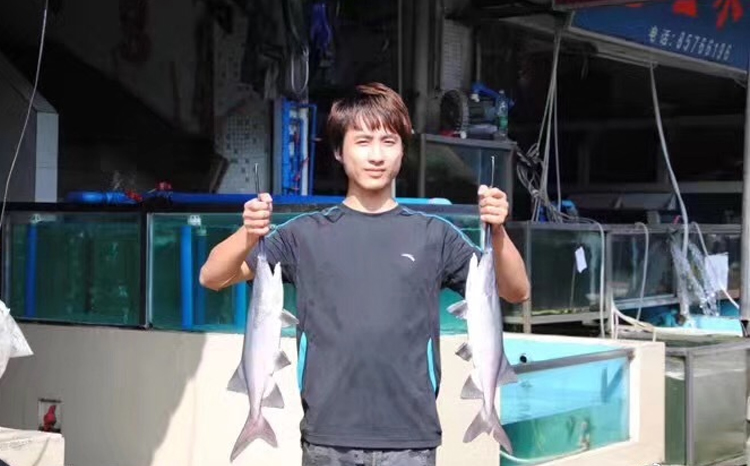 散打哥（个人百科资料与简介）(图1)