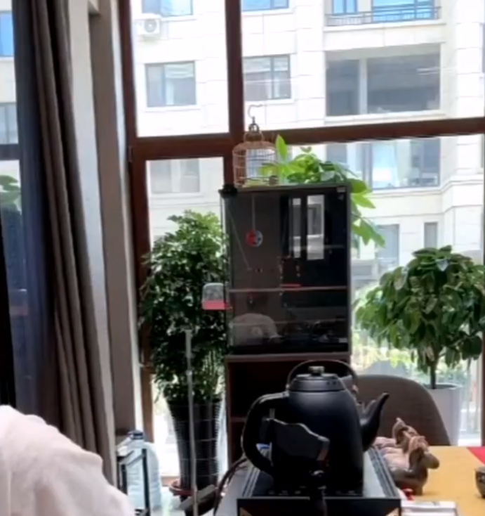 华星发声明点名“宇文泡“为不实言论,天佑感慨和二驴成为朋友是互相成就!(图6)