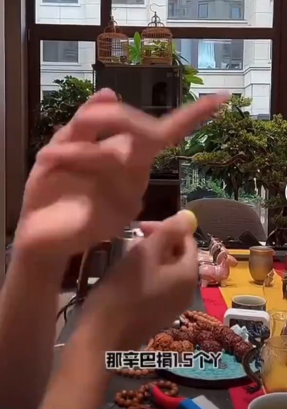 天佑评价辛巴，捐款1.5亿不该挨骂！张二嫂回应没朋友，有钱缺朋友吗？(图2)