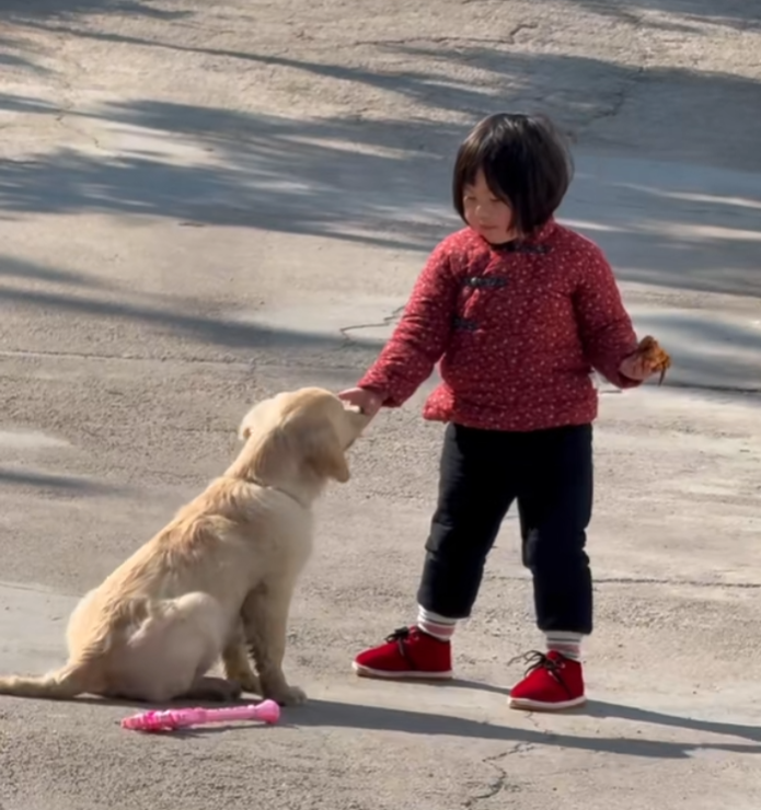 小网红“瑶一瑶小肉包”摔倒，视频陷摆拍争议，童真被流量吞噬？(图4)