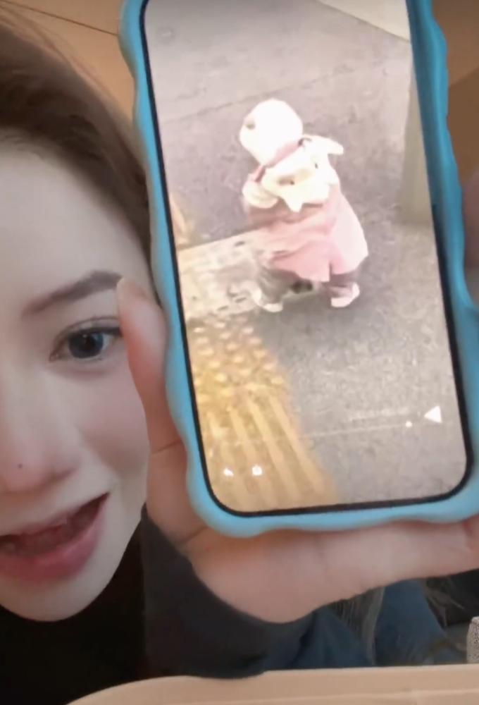 “洛丽塔大哥”直播喊话:谁帮我生孩子,车房分一半!(图1)