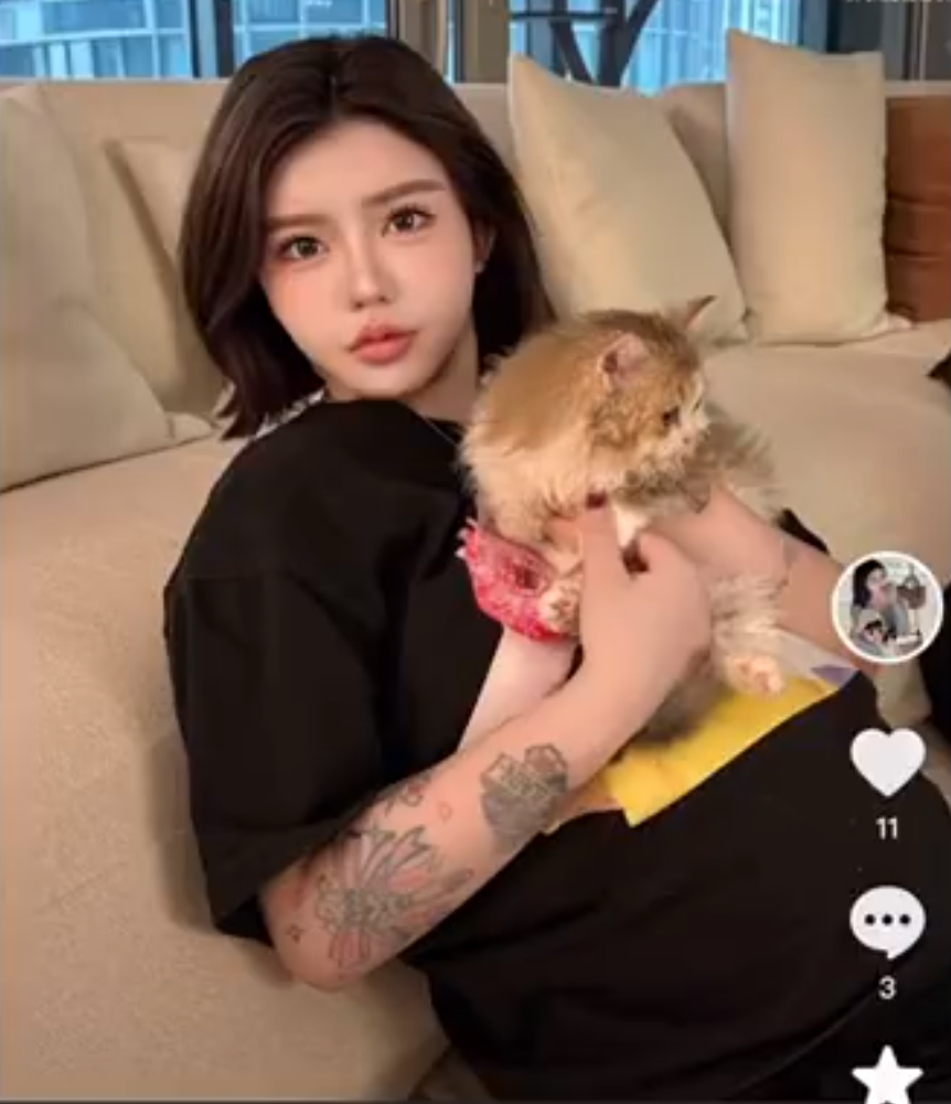 韩安冉谈原生家庭影响,天佑分析二驴会自降身段直播(图1)