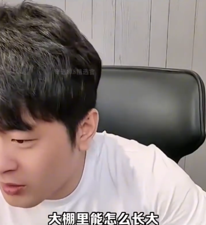 驴家桐桐结婚怀孕，老公是她同学？辛巴超市涵盖养殖业、住宿(图3)