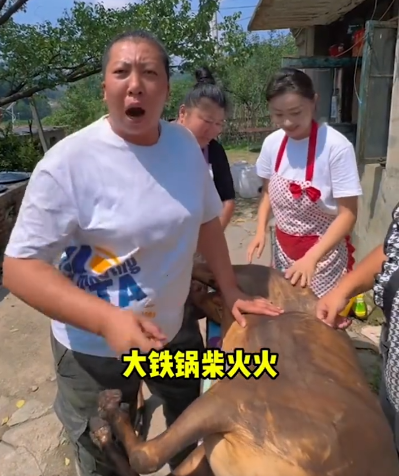 “翻车”网红东北雨姐账号被禁言?YY女主播小小呵爆瓜伪神豪(图1)