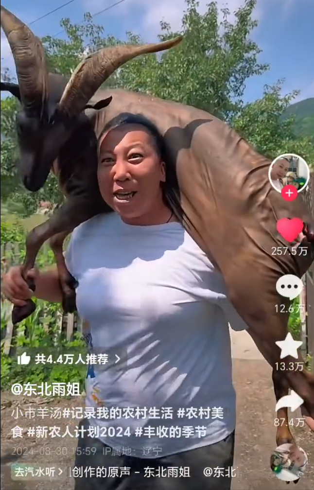 “翻车”网红东北雨姐账号被禁言?YY女主播小小呵爆瓜伪神豪(图2)