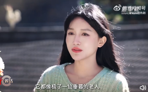 牌牌琦谈公司对账,艺人几十块都要公司出!李子柒断更三年做了什么?(图4)