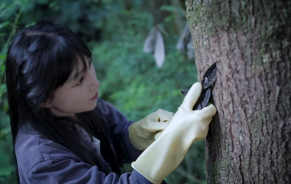 曾“鲸落万物生”，李子柒时隔三年回归，连更2条作品再登顶流(图6)