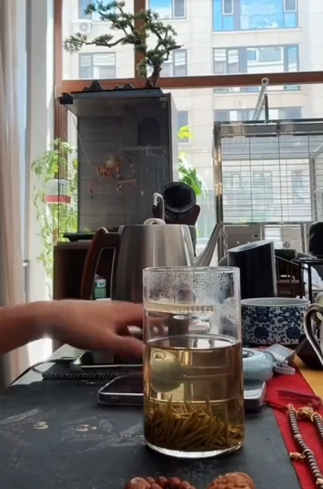 天佑爆料神豪一人哥“出事”？天佑伽柏“公会联营”，并非签约当马仔？(图2)