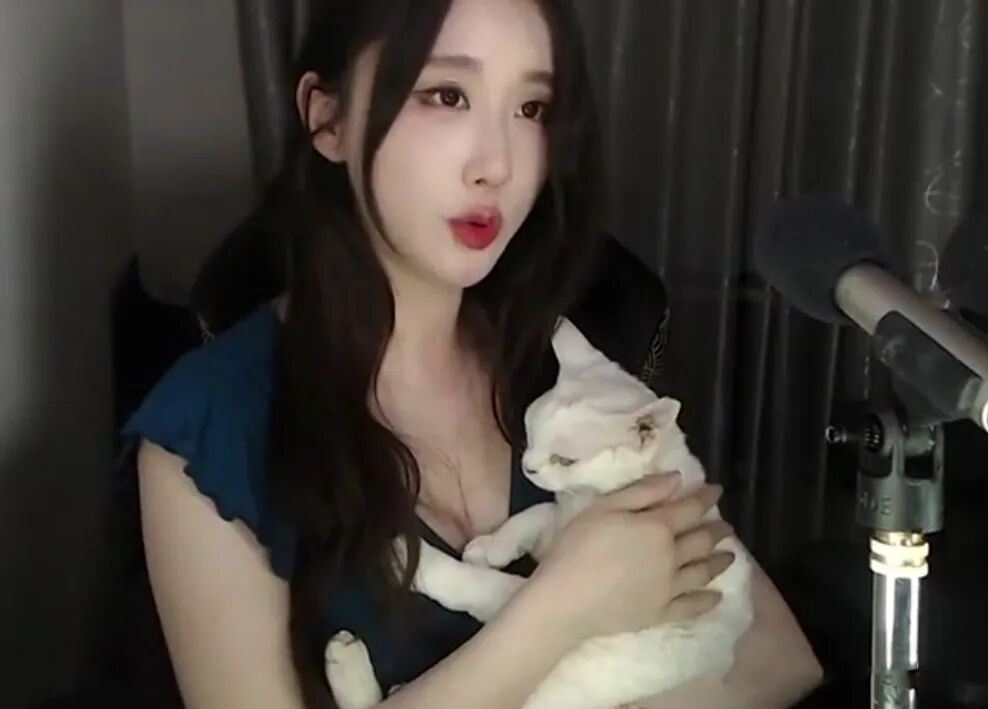 轩子回应单身人设,没老公缺爱所以养猫,基因好不生娃太浪费!(图2)