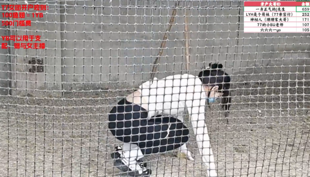 美女主播被惩罚睡鸡窝，不遵守直播游戏规则，当场破防转身就走(图3)