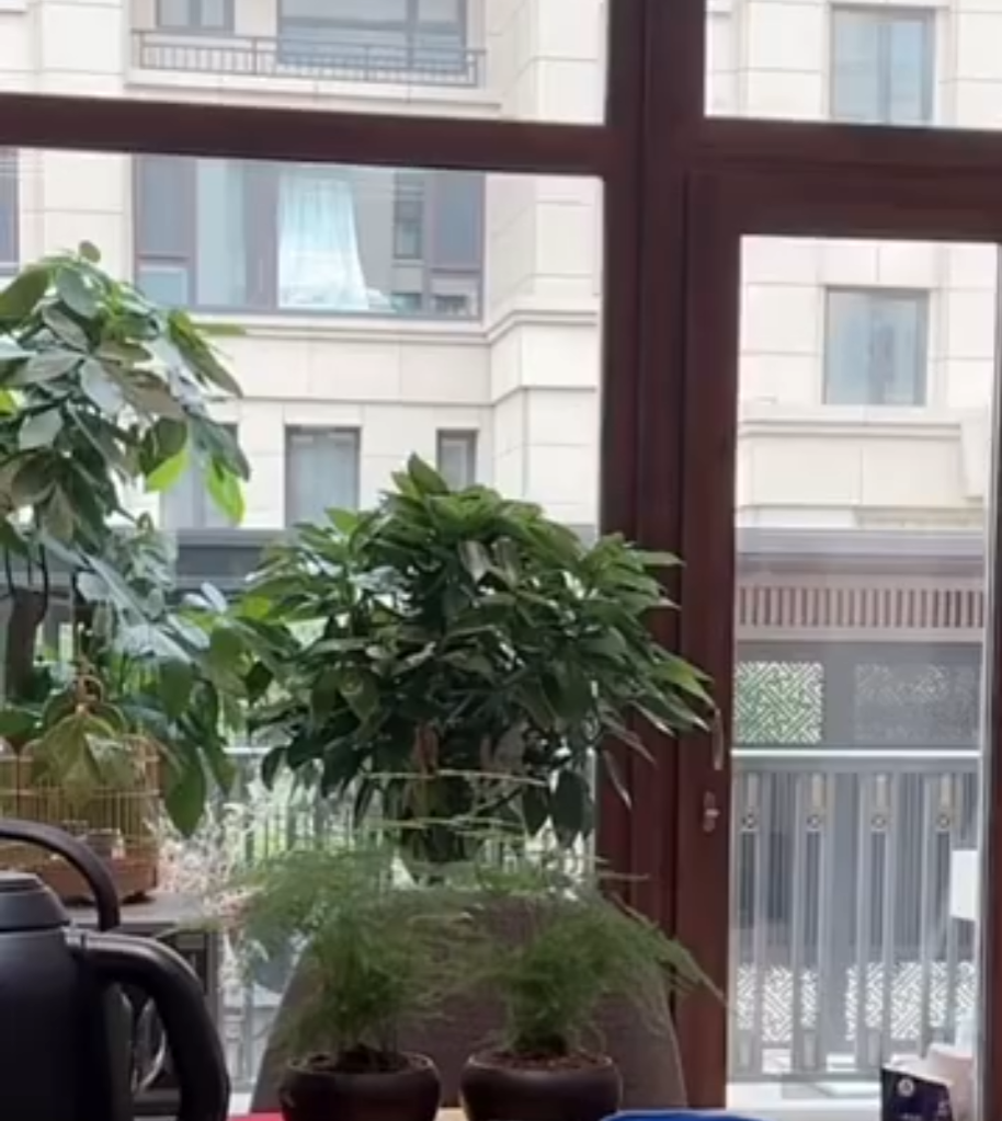 娇妹破防！粉丝不满她找前助理帮忙，天佑维护舒克老雷，熊他们肯定不好使(图5)