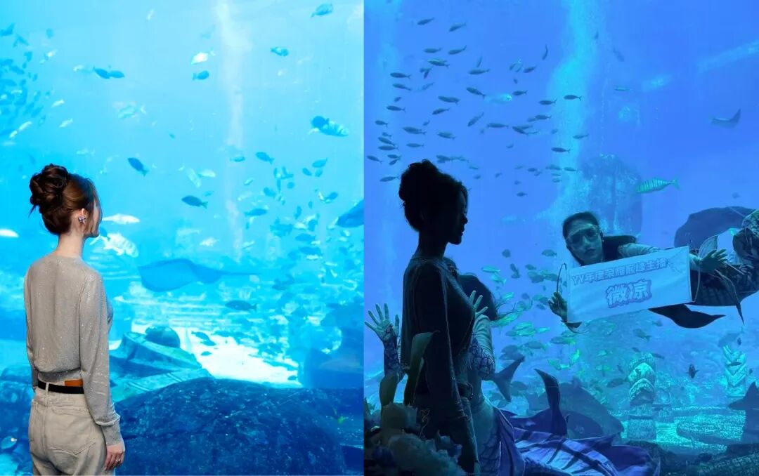 YY年度壕无人性，人均3588奢华午宴，美人鱼作陪，10w名酒随便喝(图5)