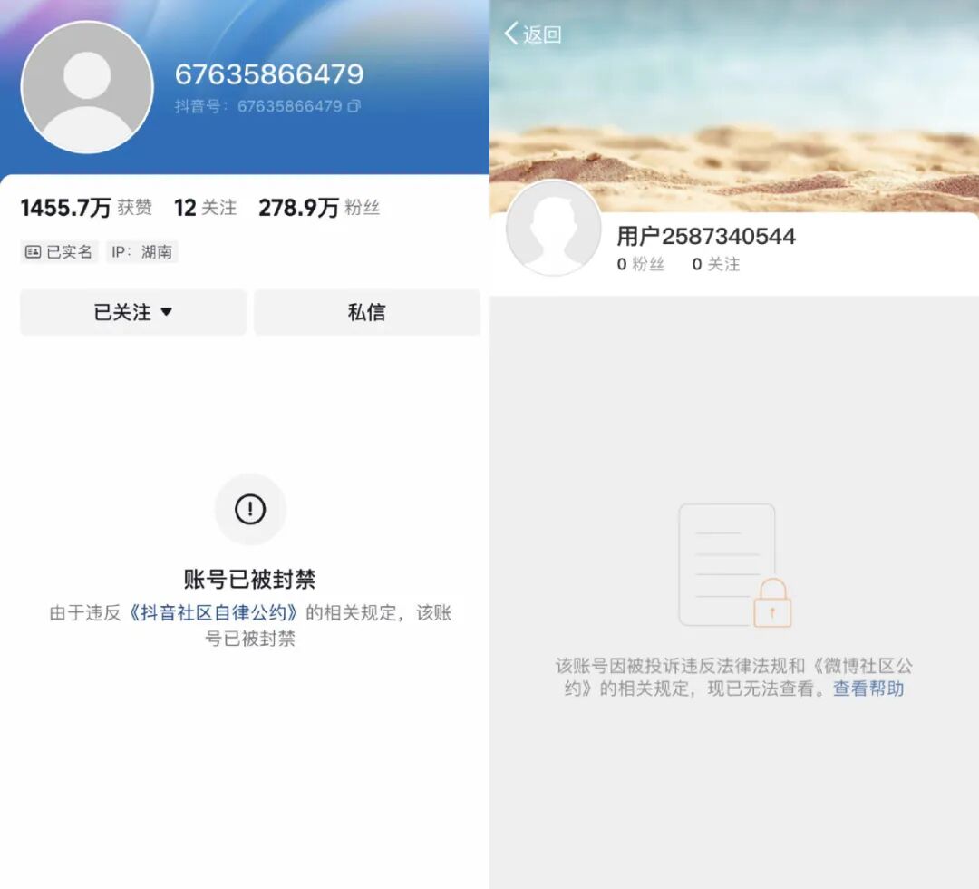 曾换‘梦奇’头像为胖猫发声，痞幼删作品改回头像，流量已经到手(图2)