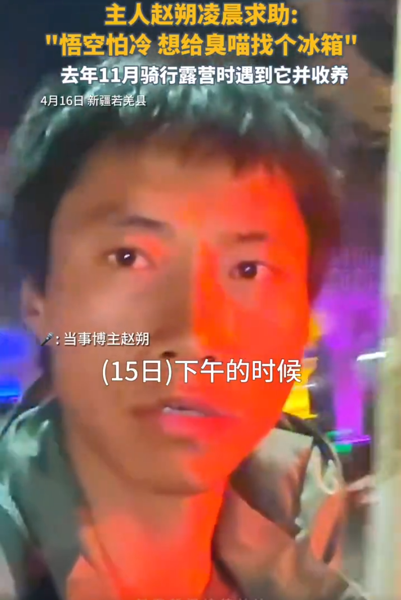 网红小猫悟空主人已谅解车主，牌牌琦被小伊伊嫌老？沉迷80年代老歌(图4)