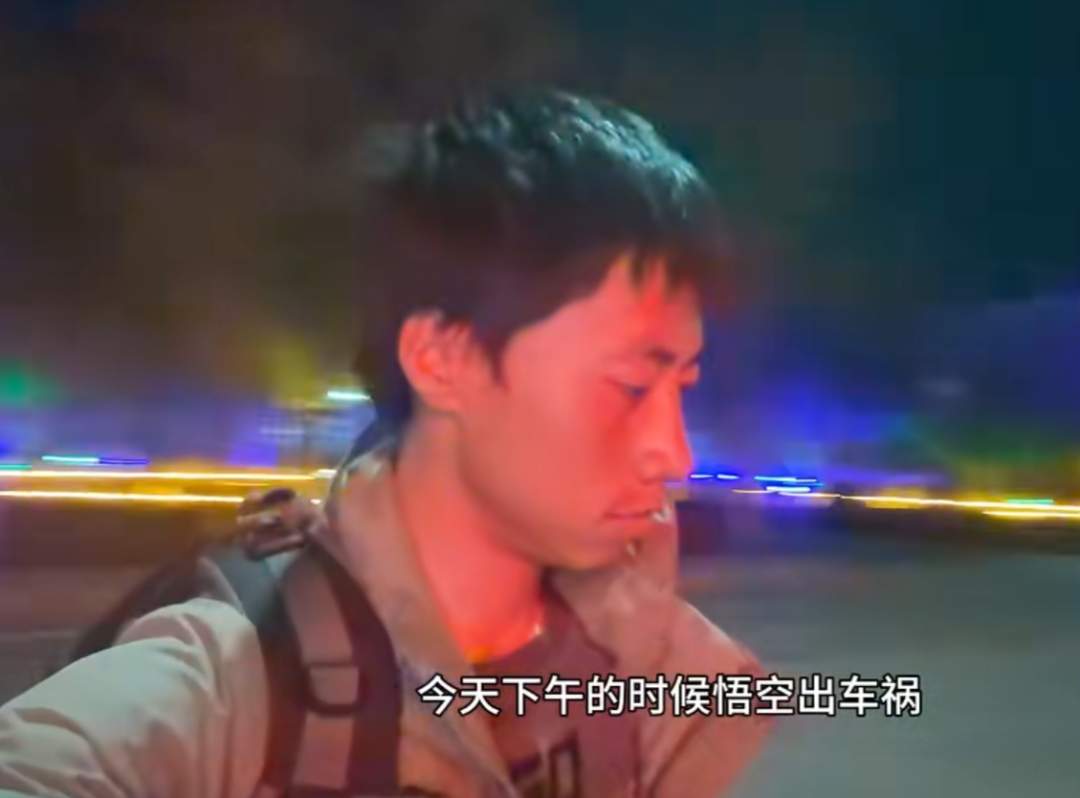 网红小猫悟空主人已谅解车主，牌牌琦被小伊伊嫌老？沉迷80年代老歌(图1)