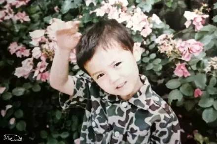 十项全萌的鹿晗今天26岁生日，他到底为什么那么红？(图5)