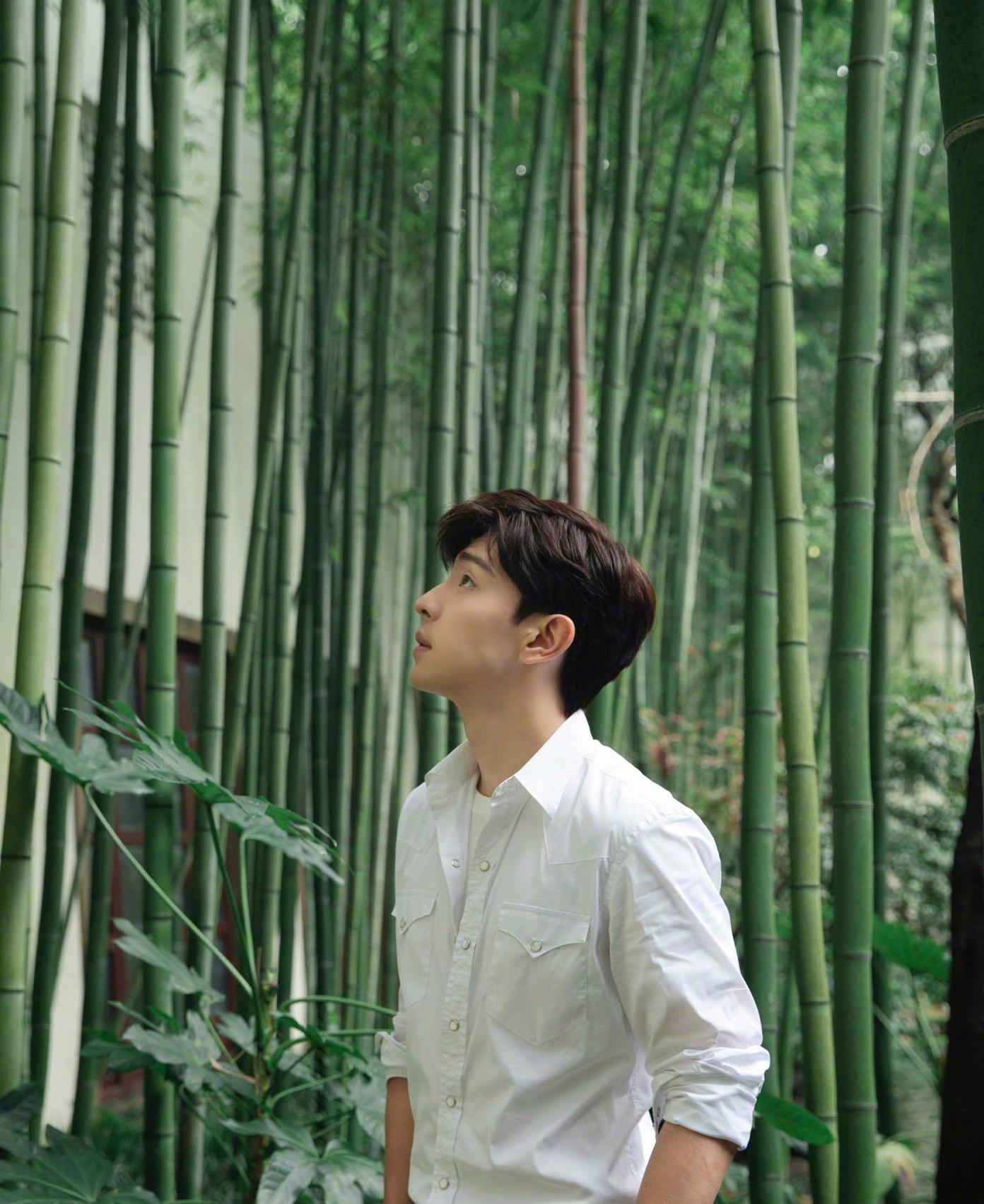 李沁邓伦在一起了？二人工作室疑似换情头，杨洋成了美好的遗憾(图7)