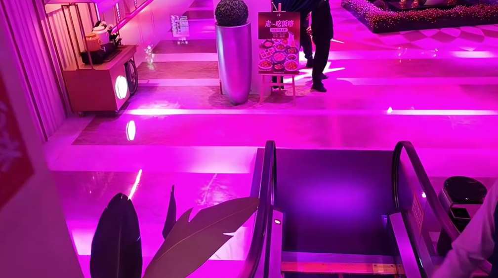 赶紧张开朗喝百威训会长节目!会长称自己不在乎!点我是吧?张开朗回应会长!(图1)