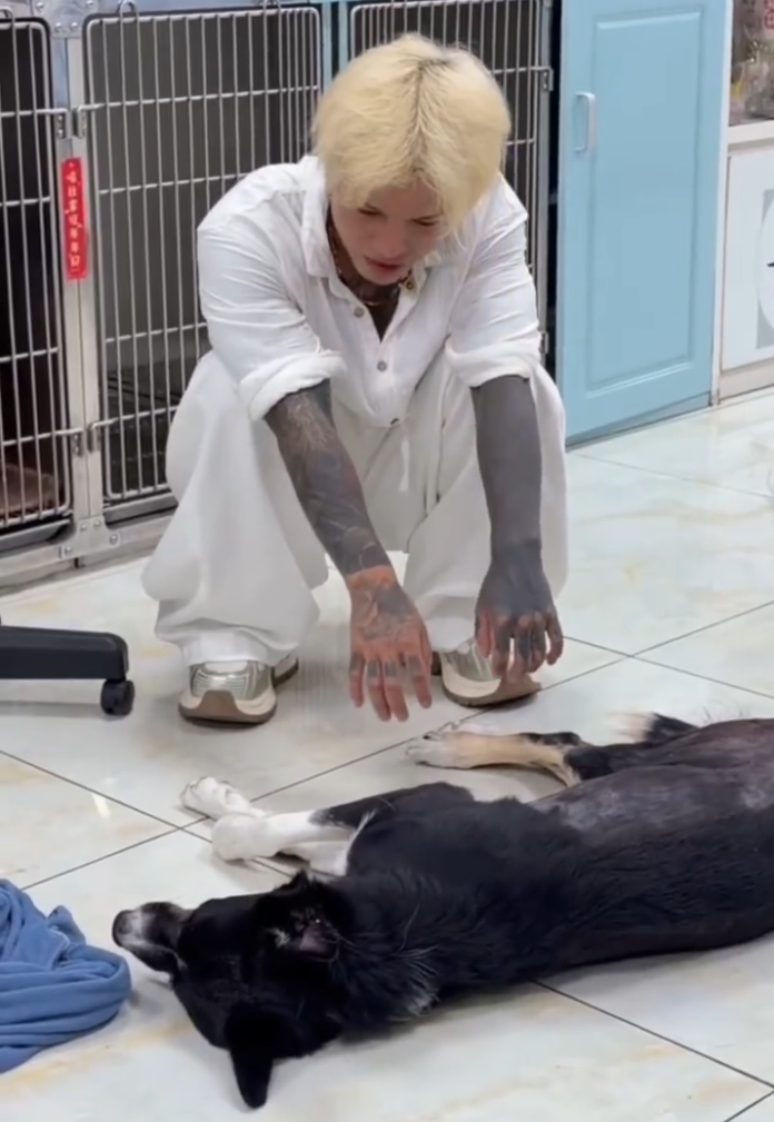 殷世航发文悼念爱犬因中暑去世！40多岁还有爸打是幸福，驴姐自曝被驴爸打了！(图1)