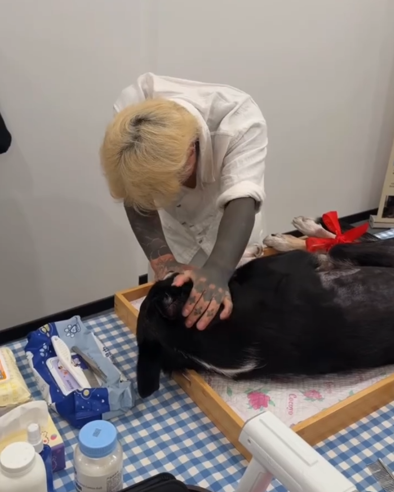 殷世航发文悼念爱犬因中暑去世！40多岁还有爸打是幸福，驴姐自曝被驴爸打了！(图2)