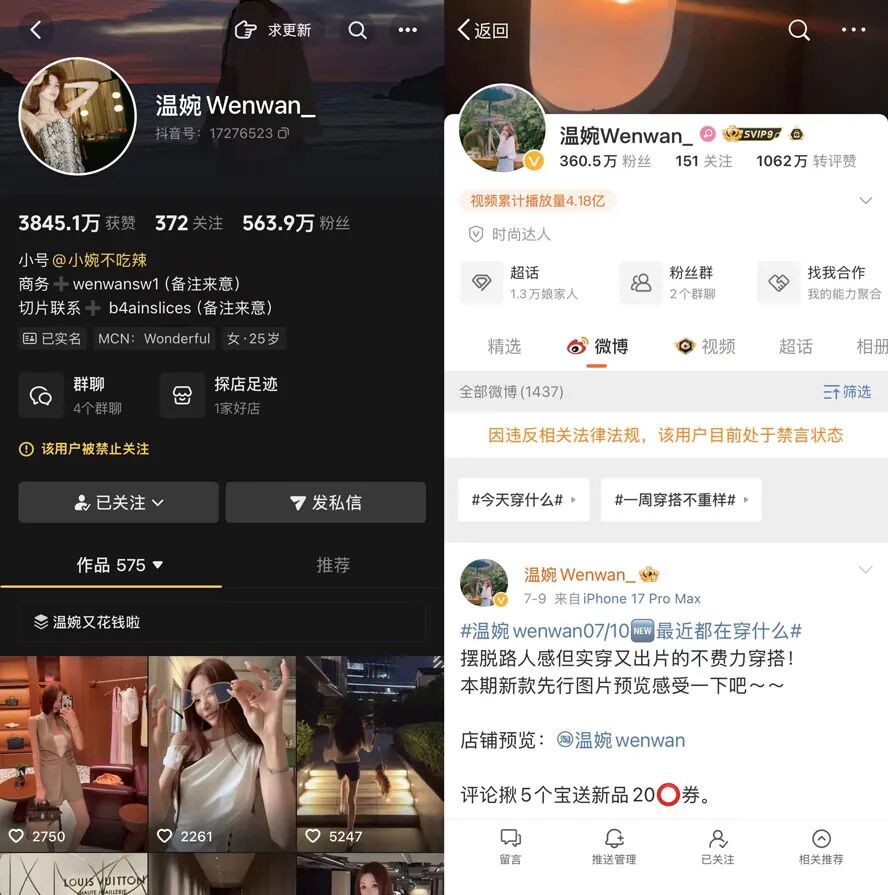 偷税632万风波后,温婉用近百个账号“复活”?高仿大牌销售百万(图5)