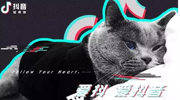 大熊会靠谱么:抖音怎么进行流量变现-第2张图片-小七抖音培训 大熊会靠谱么:抖音怎么进行流量变现(图2)