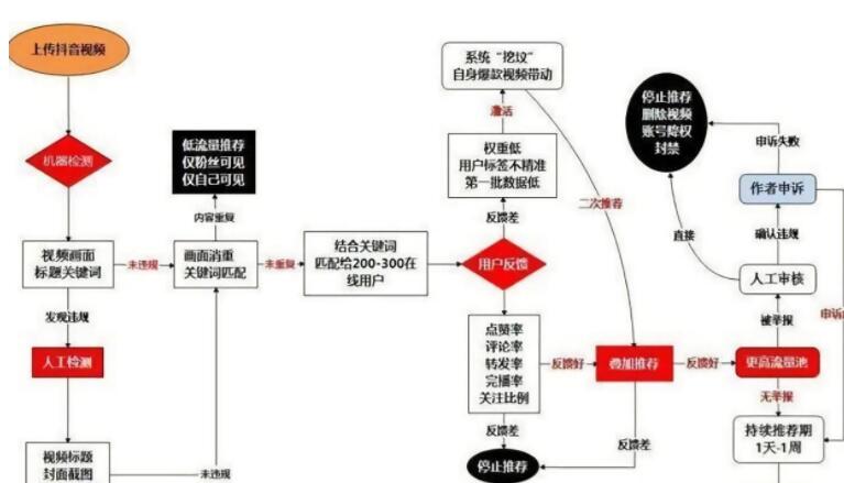 新手轻松快速掌握抖音推荐算法核心技巧(图2)